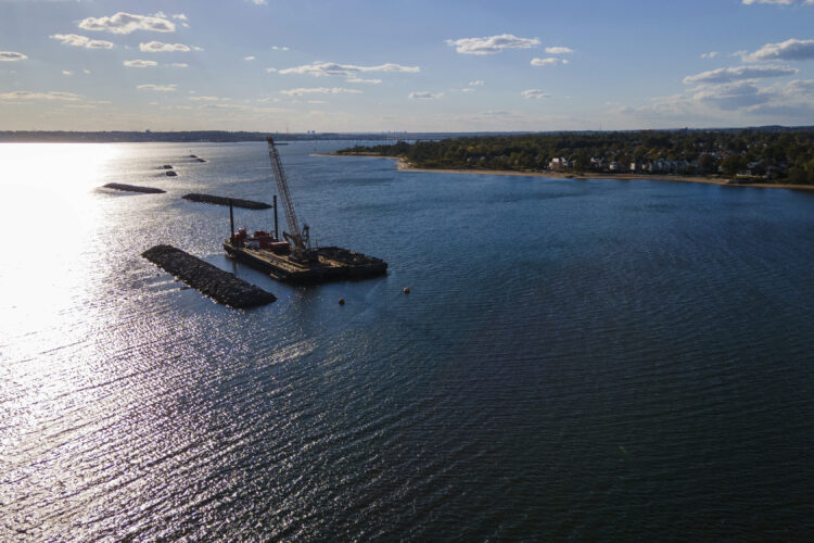 These artificial reefs off a New York City beach help sea creatures. They might also save lives